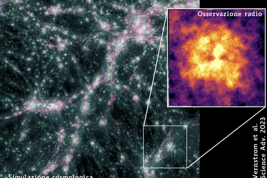 Giant polarized shock waves shake the cosmic web of the universe.